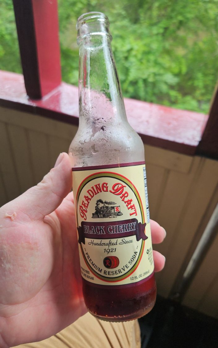 Hand holding a bottle of Reading Draft Black Cherry soda on the train
